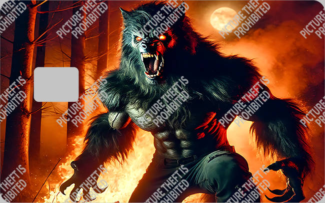 Bank  Card Sticker-BC-1784